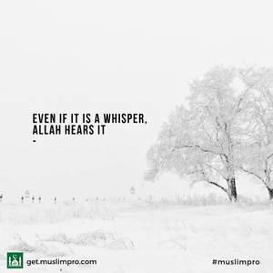 Meet your Posher, Samira